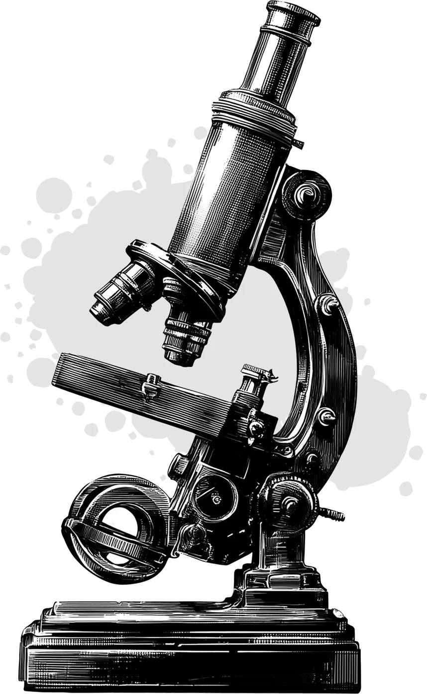 Point2Web - Case Studies image 1 point2web - case studies 1