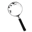Research & Insights